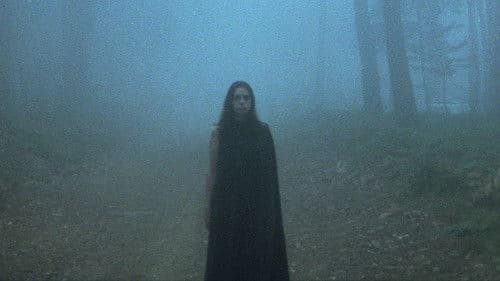 Entfesselte Begierde Bild 4