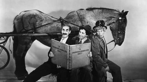 Marx Brothers - Das große Rennen Bild 7