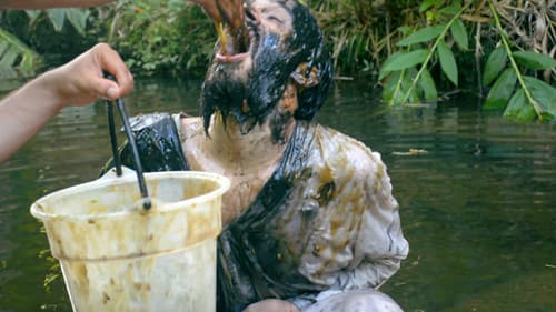 A Nau dos Loucos: Mergulho e Decolagem de Pazucus Bild 5