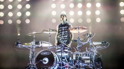 blink-182: Live at Reading Festival Bild 3