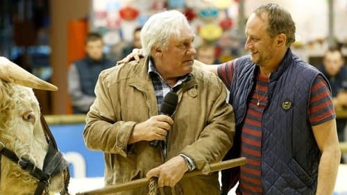 Saint Amour - Drei gute Jahrgänge Bild 1