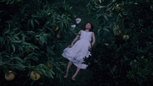 渚のシンドバッド Bild 5