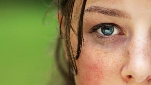 Utøya 22. Juli Bild 3