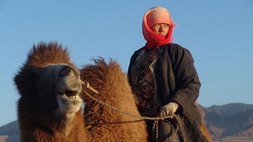 Tuyas Hochzeit Bild 2