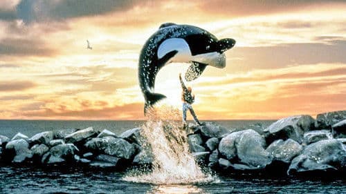 Free Willy - Ruf der Freiheit Bild 2