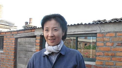 The Story of Lily Bild 1