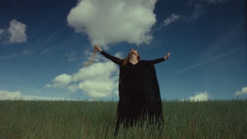 Rosa de Areia Bild 6