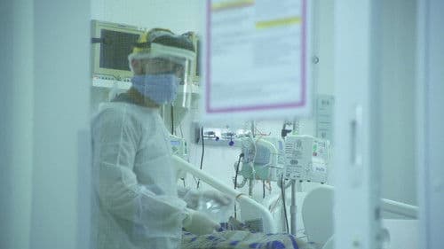 Linha de Frente Brasil Bild 1