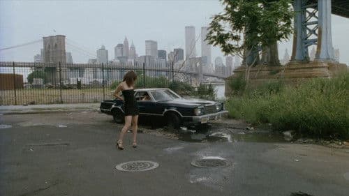 Terror Firmer Bild 2