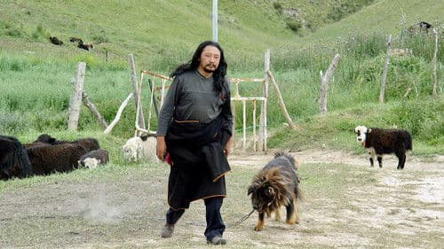 ཁྱི་རྒན། Bild 1