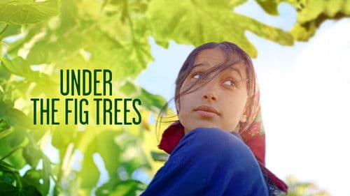 Under the fig trees Bild 7