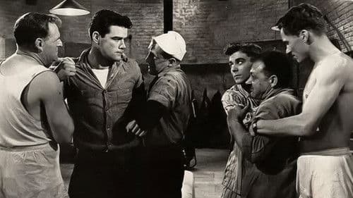 Seagulls Over Sorrento Bild 1