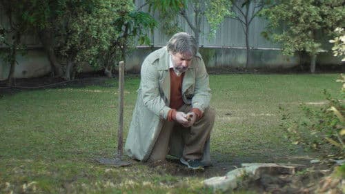 כוכב נופל Bild 1