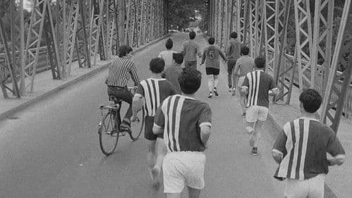 Viața în roz Bild 2