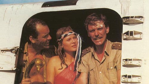 Fluch des verborgenen Schatzes Bild 2