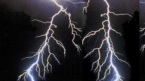 Strange Harvests 1993 Bild 1