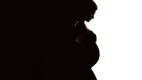 Secret Life of a Celebrity Surrogate Bild 3