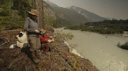 The Mystery Mountain Project Bild 1