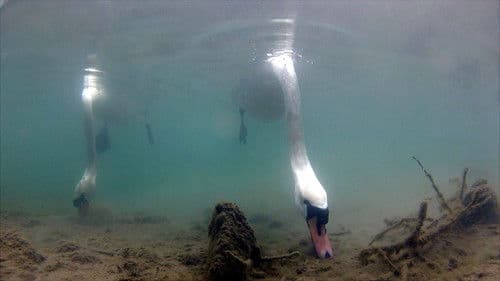 Vad Szigetköz - A szárazföldi delta Bild 2