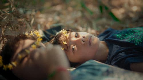 Bahay, Baboy, Bagyo Bild 1