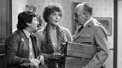 Vdova po dvou mužích Bild 1