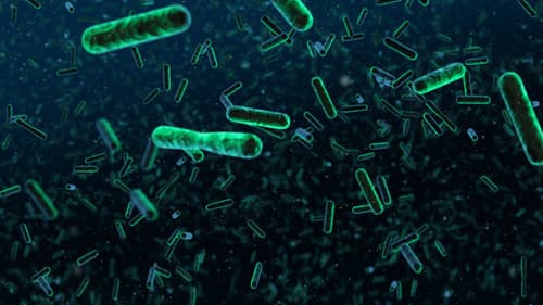 Genius by Stephen Hawking Bild 3