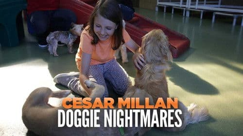 Cesar Millan: Doggie Nightmares Bild 2