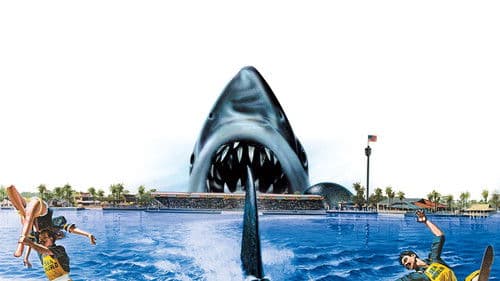 Der weiße Hai 3 Bild 3