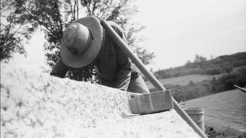 INTERVENÇÕES E INTERFERÊNCIAS Bild 1