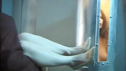 Alien Abduction Bild 1