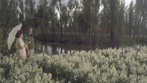 Sístole diástole Bild 3