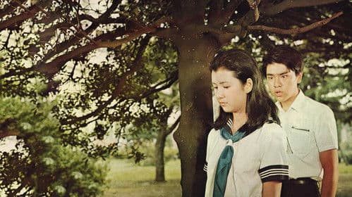 高校生ブルース Bild 1