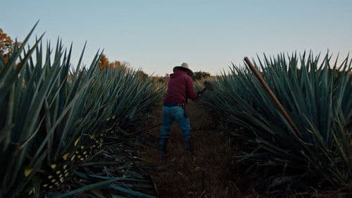 Dos Estaciones Bild 4