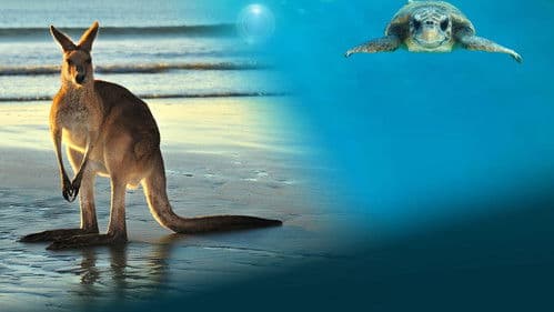 Tiere hinter der Kamera Bild 1