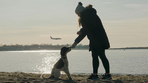 Coming Down Is The Hardest Thing Bild 2