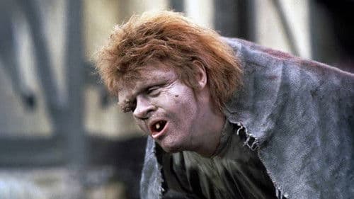 Der Glöckner von Notre Dame Bild 4