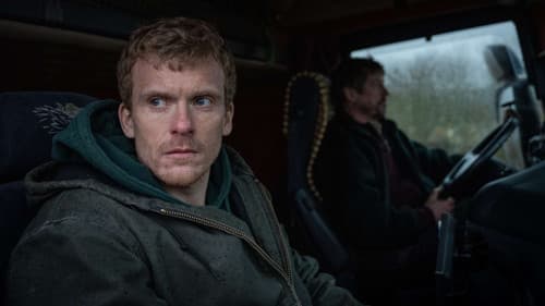 Chrysanthemum Bild 2