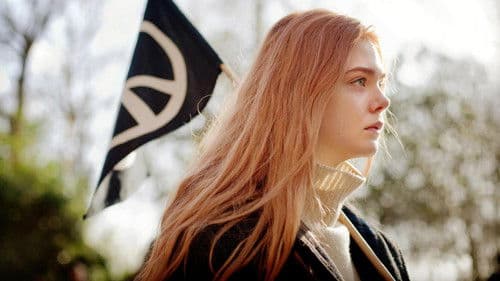 Ginger & Rosa Bild 3