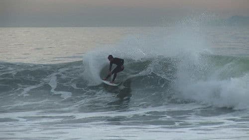 Darkhorse The Bro Tape Bild 1