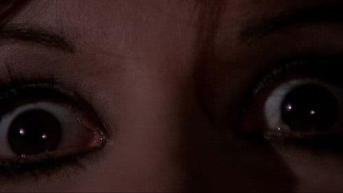 The Child - Die Stadt wird zum Alptraum Bild 2