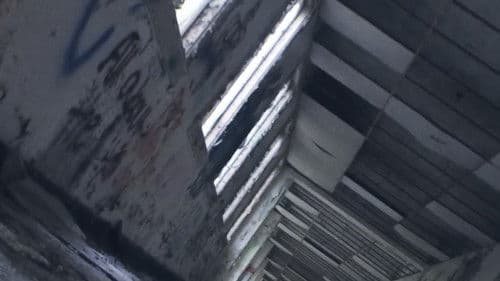 The Widow in White Bild 3