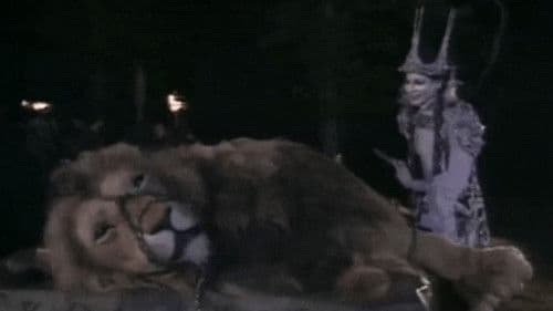 Der König von Narnia Bild 8