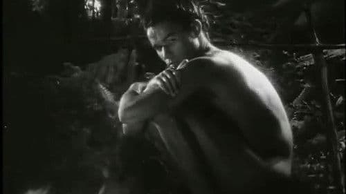 Te Keremutunga o Nga Atua Bild 5