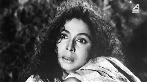 ডাইনী Bild 1