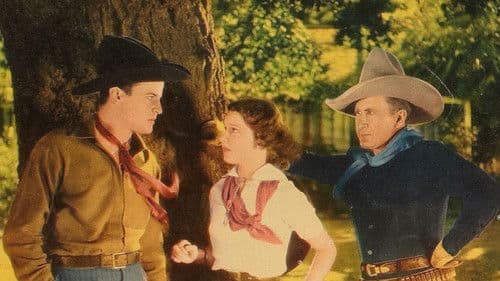 Square Shooter Bild 1