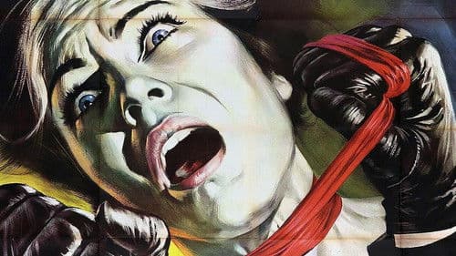 Das indische Tuch Bild 2