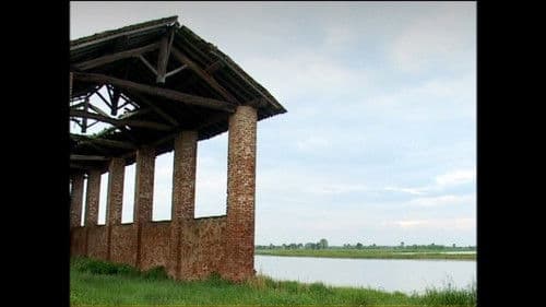 Visioni di case che crollano Bild 1