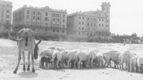 La primera mirada: historia de una escuela de cine Bild 5