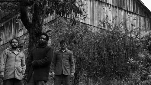 A Própria Carne Bild 5