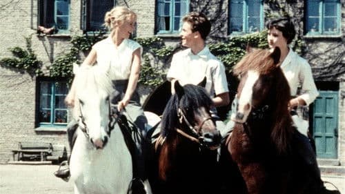 Ferien auf Immenhof Bild 1